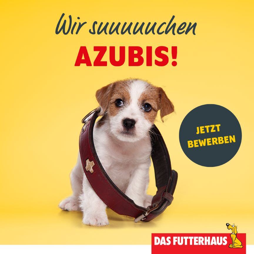 das-futterhaus-fotos-stellenanzeige_Azubi