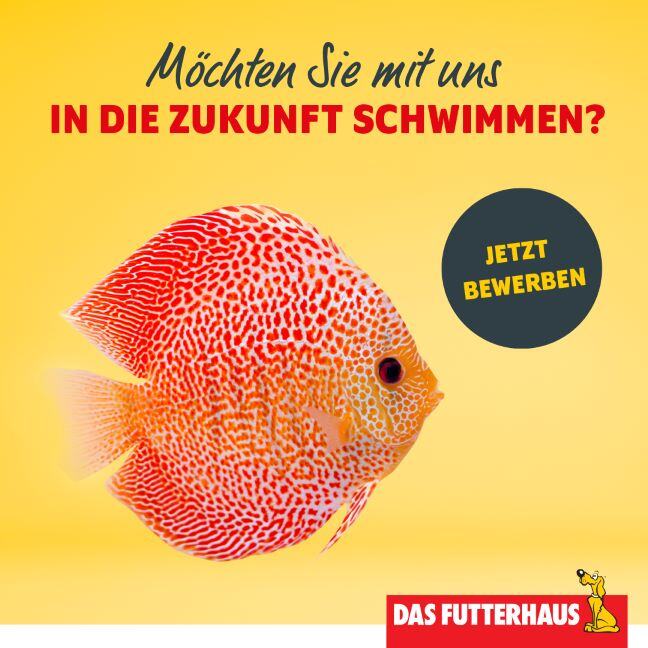 das-futterhaus-fotos-stellenanzeige_zukunft